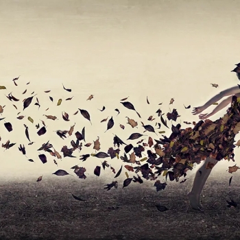 when the leaves rustle