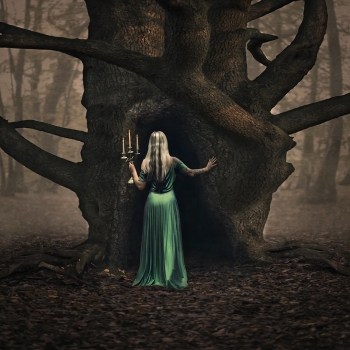 woodland whispers