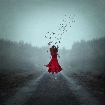 between the pages