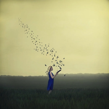 ALLOW A LITTLE TIME TO ESCAPE