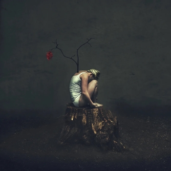 Seed of hope