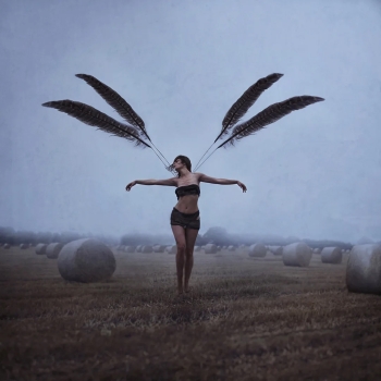 With brave wings she flies