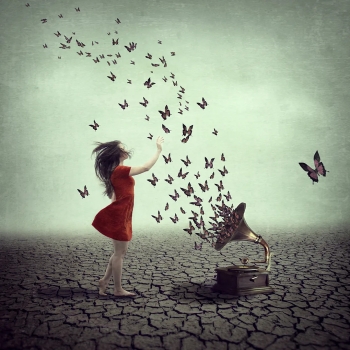 a melody that flies