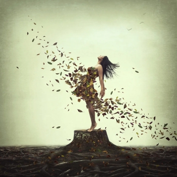 everlasting roots