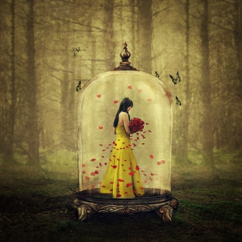 Until The Last Petal Falls