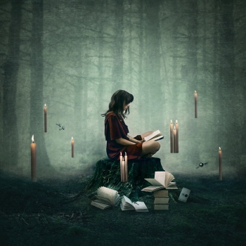Forbidden Forest